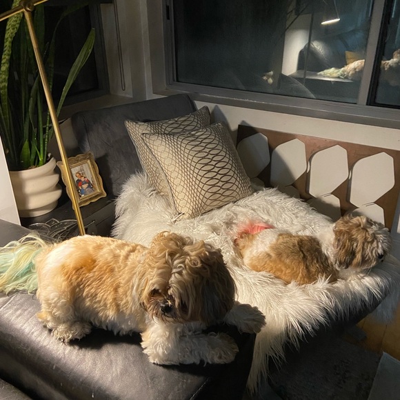 🥳🥳🥳🥳🥳 Moving after 18 years- look for specials! - Picture 4 of 4